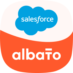 Salesforce Data Migration